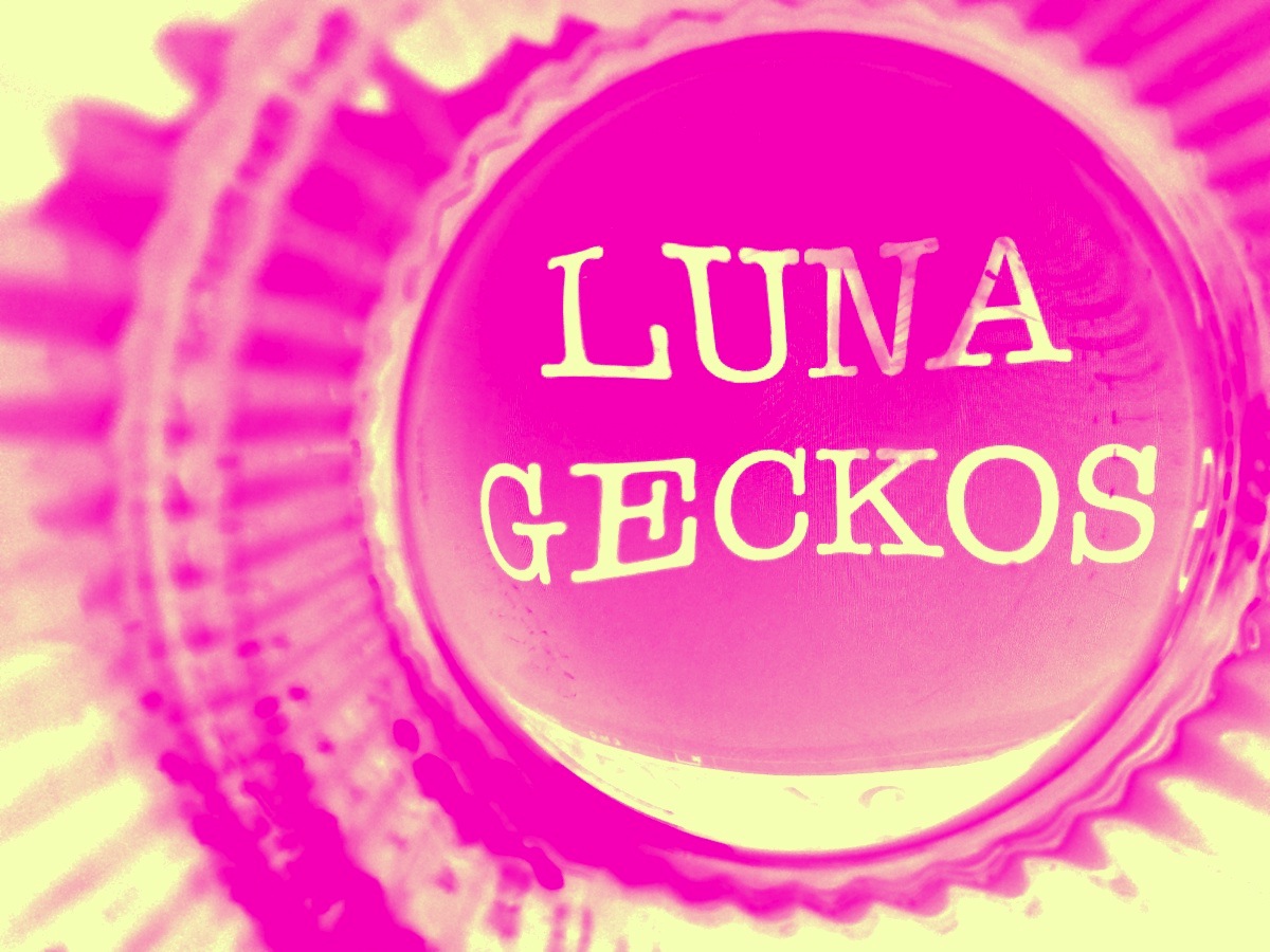 Gecko LOGO text pink